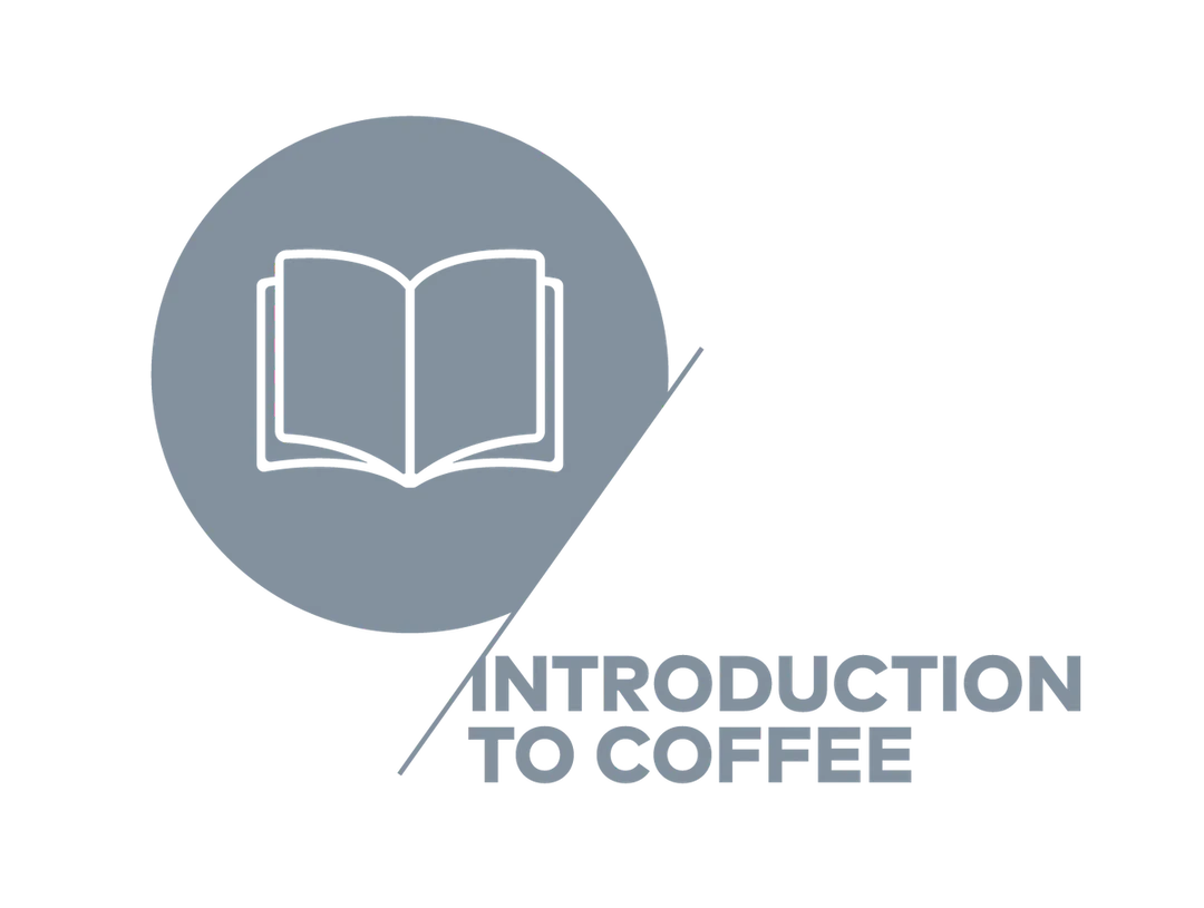 SCA - Introduction to coffee
