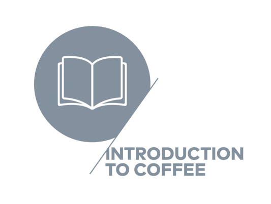 SCA - Introduction to coffee