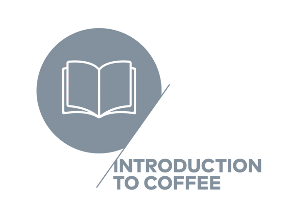 SCA - Introduction to coffee